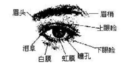 眼睛相學|金自在相面秘訣——眼睛篇